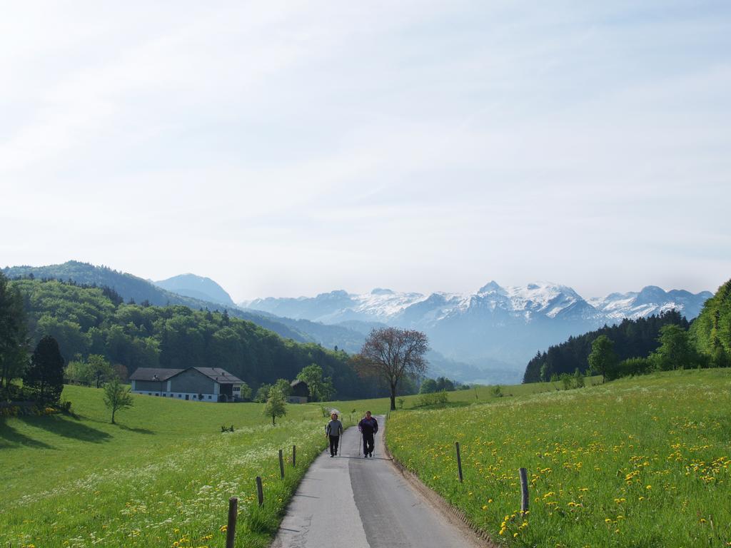 Neuwirt - Boutiquehotel & Wirtshaus Bad Vigaun Eksteriør bilde